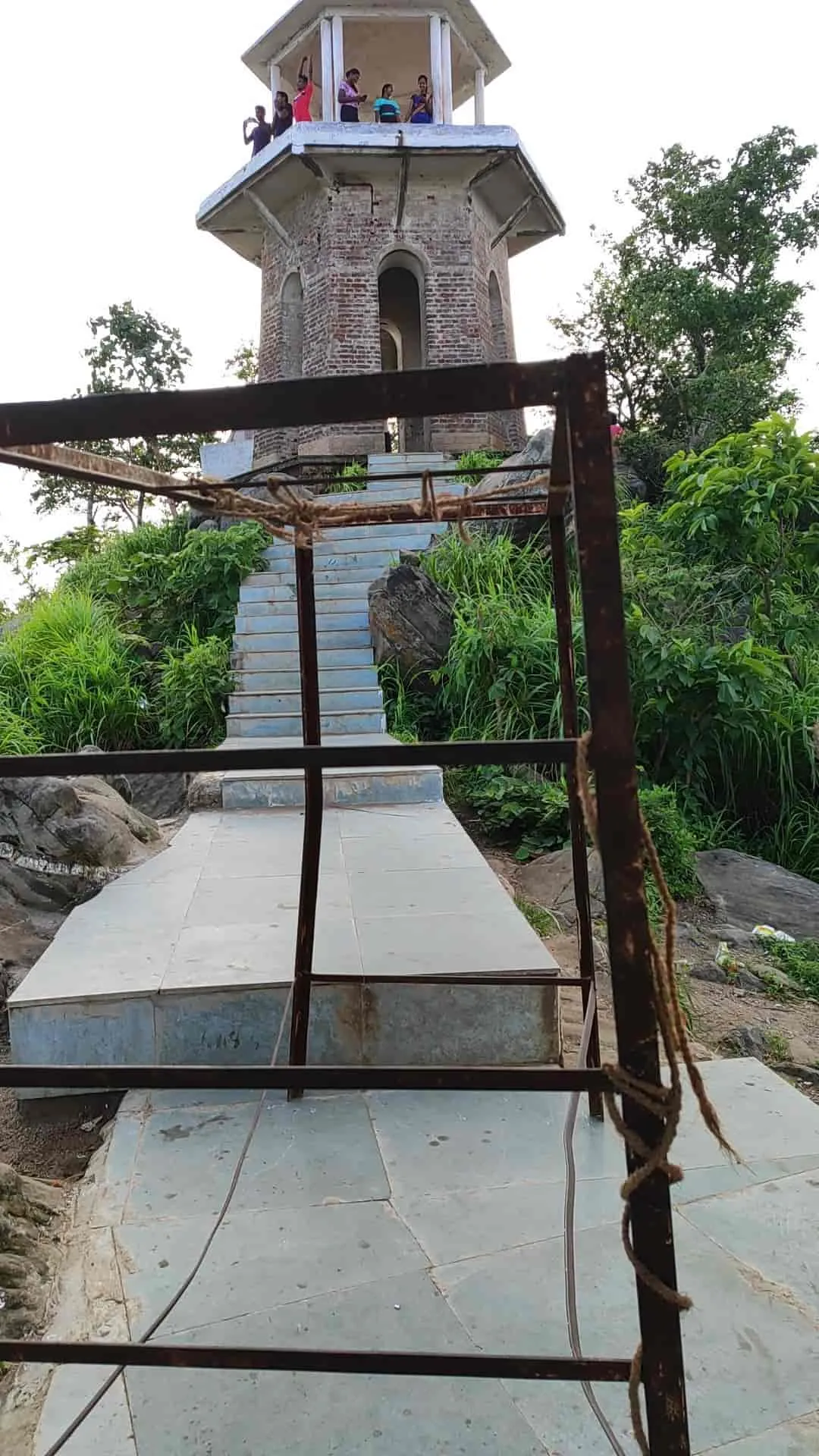 Tower Lookout